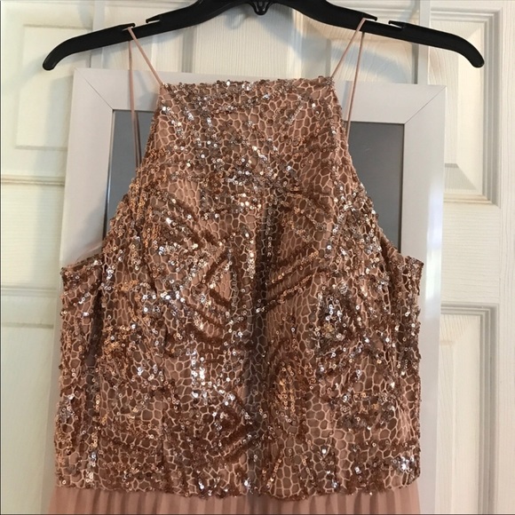 Formal blush maxi with rose gold embellishment - Picture 2 of 5